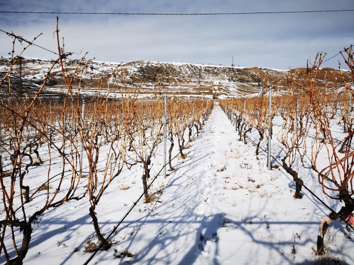 Chateau Ateni Cottages Gori Buitenkant foto
